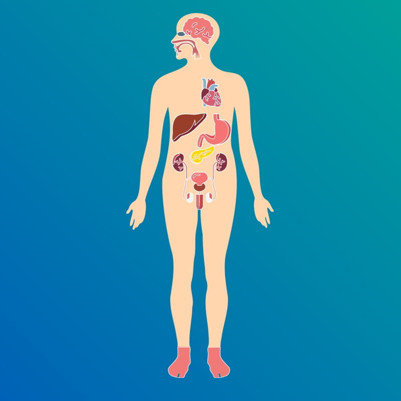 Nhs Body Types Diabetes – NHS Dorset